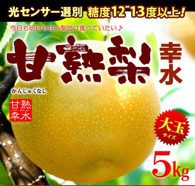 新着商品 甘熟幸水梨3l 5l 5kg 産地はお任せ 糖度12度以上の大玉幸水梨だけをお届け 食品 フルーツ 果物 和梨 幸水 送料無料 即日発送 Www Iacymperu Org