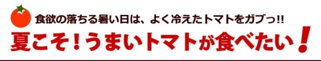 夏に食べたいトマト