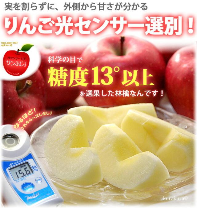 りんご光センサー選果で糖度13度以上