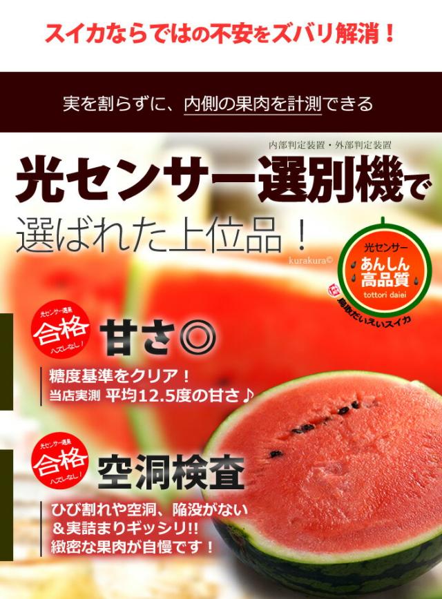 光センサー選別大玉スイカ