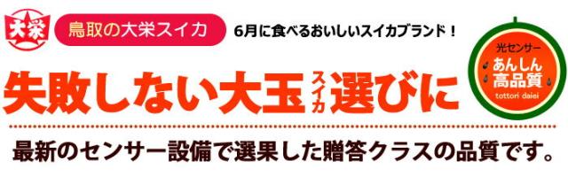 失敗しない大玉スイカ選びに