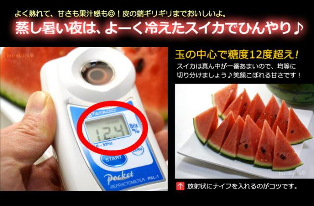 鳥取大栄スイカ糖度の目安