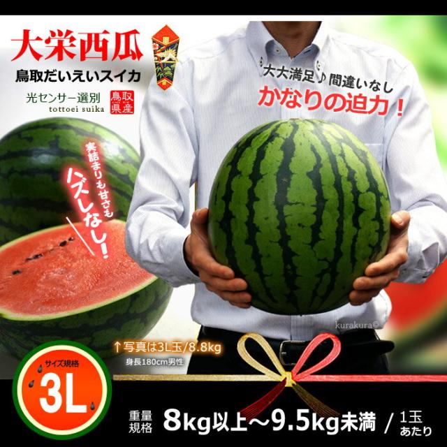 鳥取大栄スイカ大玉3L販売イメージ