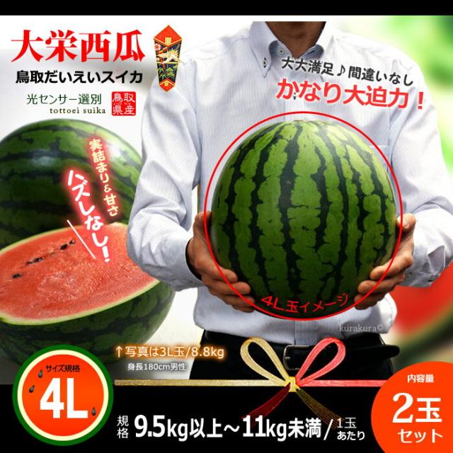 鳥取大栄スイカ大玉4L2玉セット販売イメージ