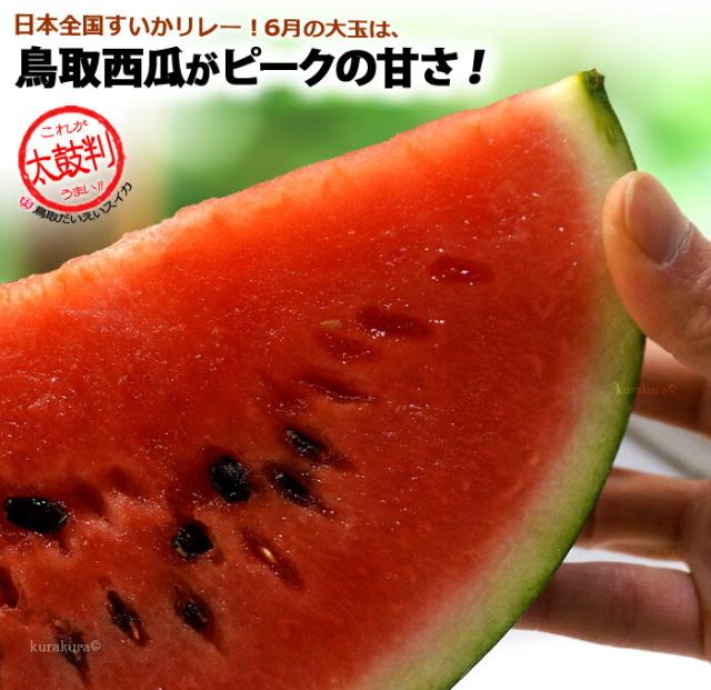 初夏6月からは鳥取大栄スイカがうまい！