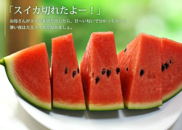 スイカの甘い香りに誘われて