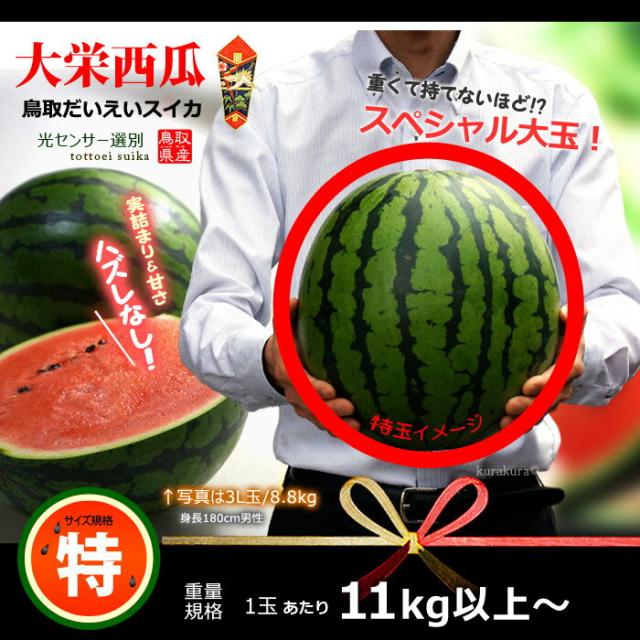 鳥取大栄スイカ特1玉販売イメージ