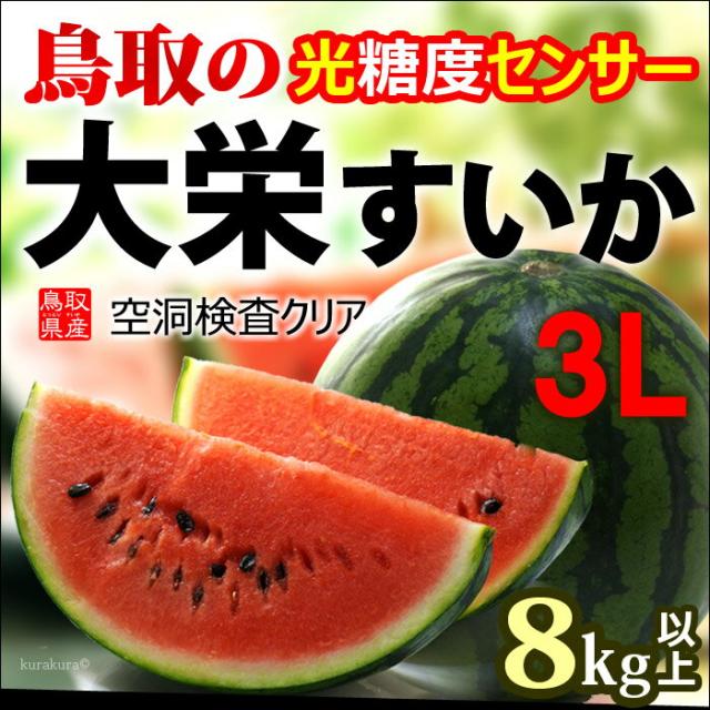 鳥取大栄スイカ3L玉販売/通販