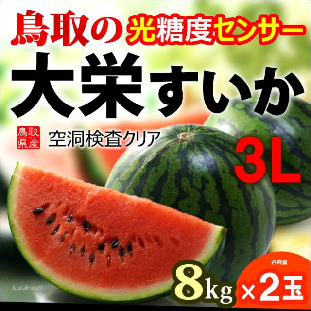 鳥取大栄スイカ3L2玉販売/通販