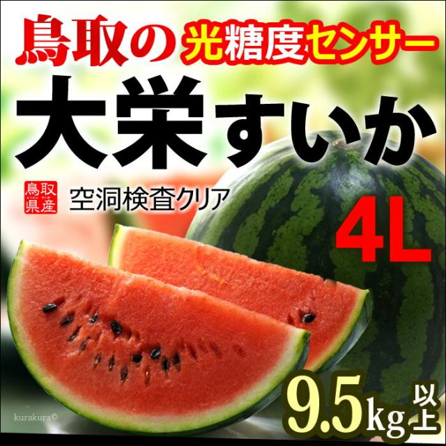 鳥取大栄スイカ4L玉販売/通販
