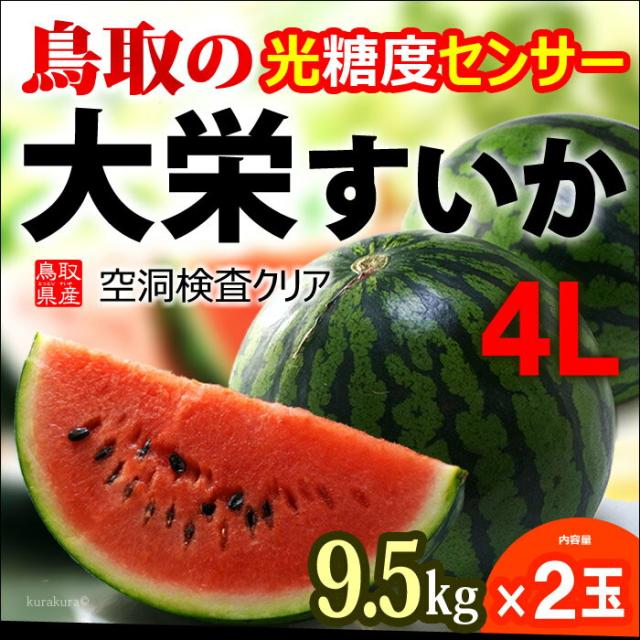 鳥取大栄スイカ4L玉販売/通販