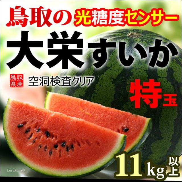 鳥取大栄スイカ特玉販売/通販