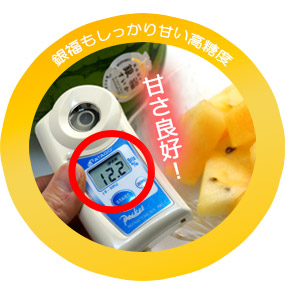 銀福スイカ糖度目安