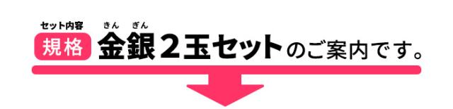 金銀2玉セット内容規格のご案内です。