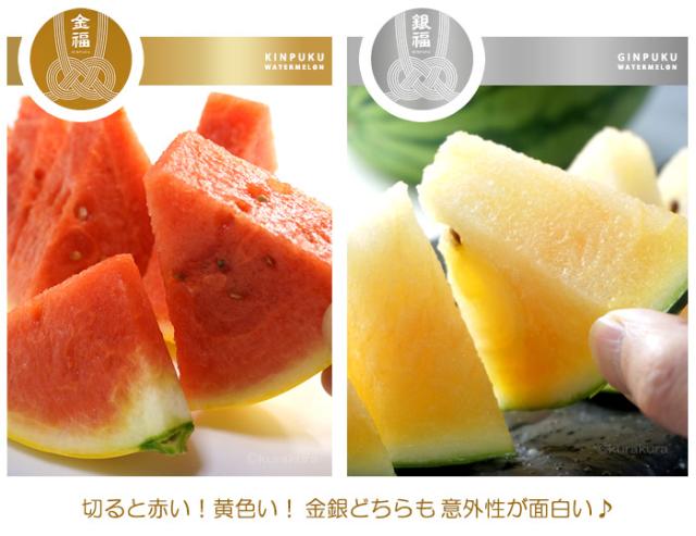 切ると赤い！黄色い！金銀どちらも意外性が面白い♪