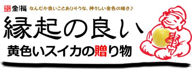 黄色いスイカの贈り物