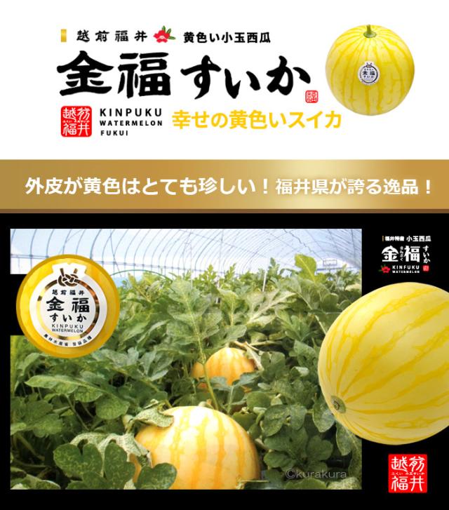金福（きんぷく）スイカについて