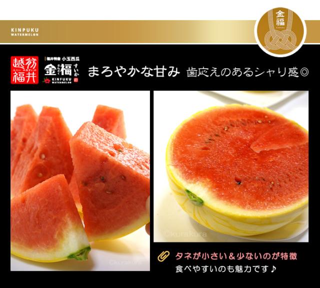 黄金色!?金福スイカまろやかな甘み赤い果肉