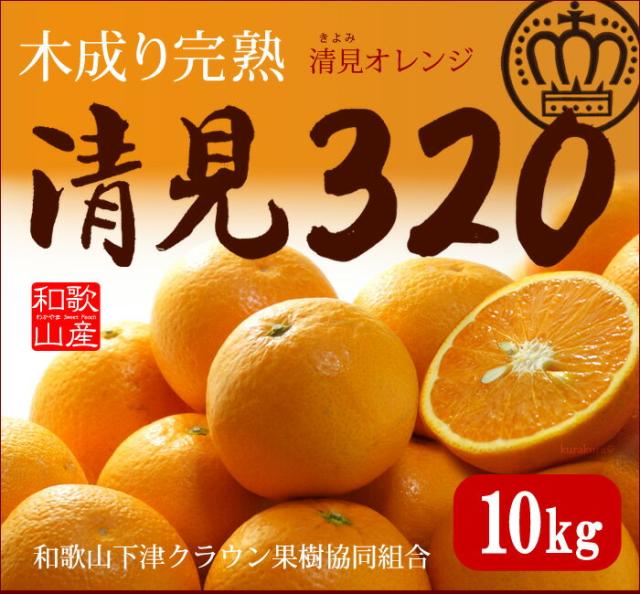 清見320オレンジ10kg販売/通販