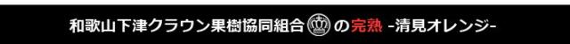 和歌山下津クラウン果樹協同組合の清見