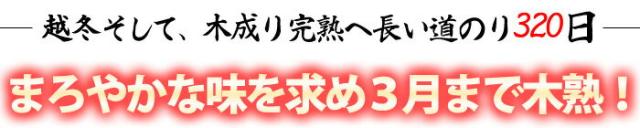 木熟まで320日かけた清美オレンジ
