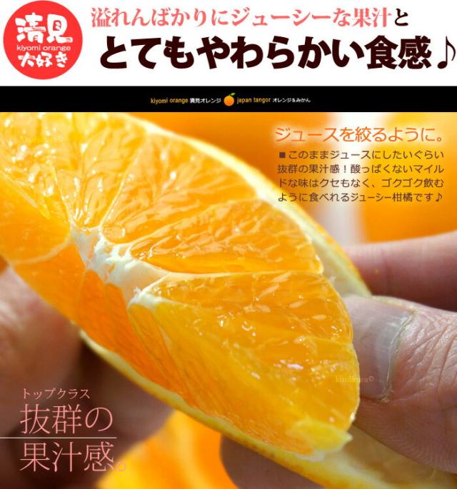 ジュースを絞るように食べる清見の果肉