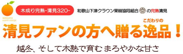 清見ファンへ贈る「清見320」