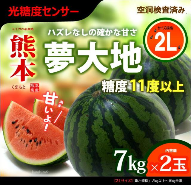 熊本夢大地かもとスイカ・2L2玉販売/通販