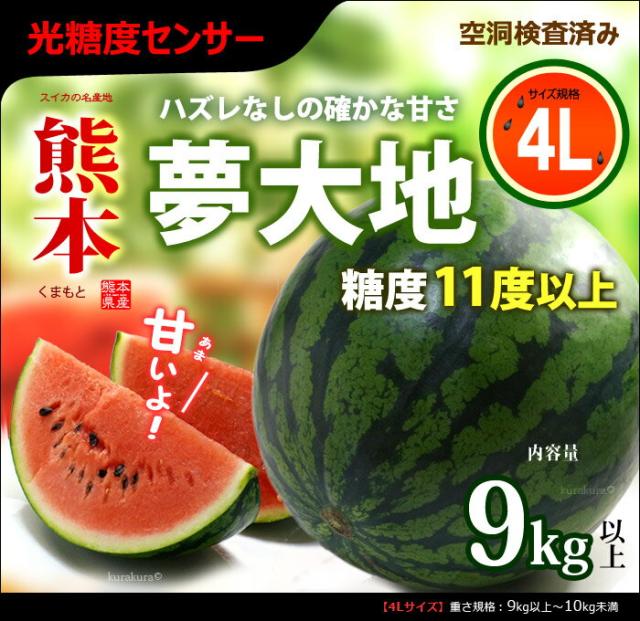 熊本夢大地かもとスイカ・4L2玉販売/通販