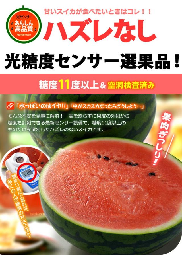 光センサー糖度11度以上の大玉スイカ