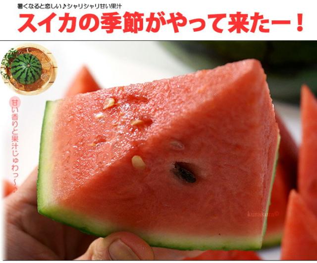 スイカの季節がやって来た！