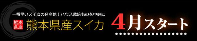 熊本スイカは4月スタート
