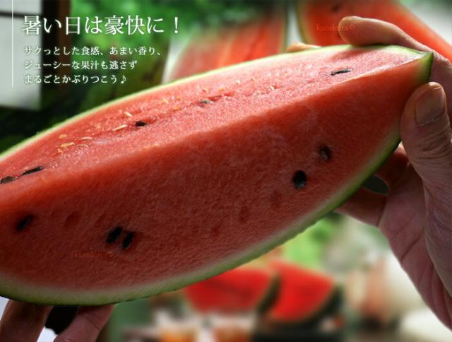 暑い日は豪快にシャリシャリ豪快に