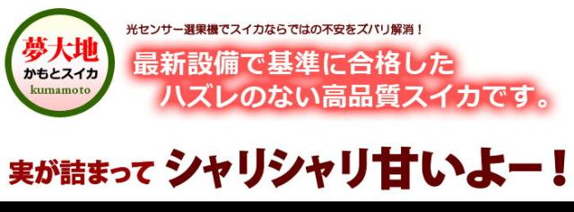 基準に合格したハズレのないスイカ