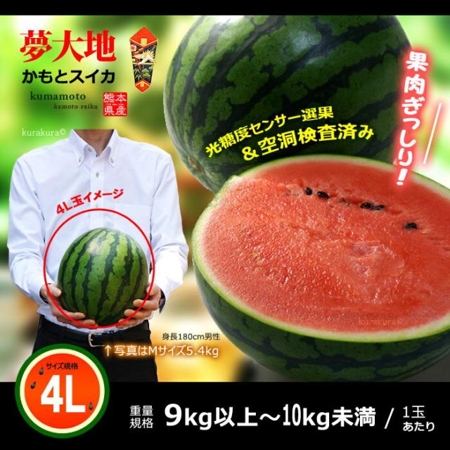熊本夢大地かもとスイカ・4L玉販売イメージ