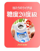 当たりの生ライチは糖度20度超え