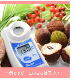 玉荷苞ライチ糖度（参考値）