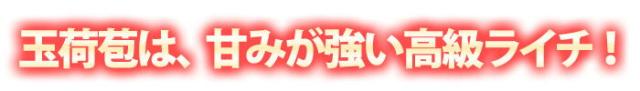 玉荷苞は甘い高級ライチ
