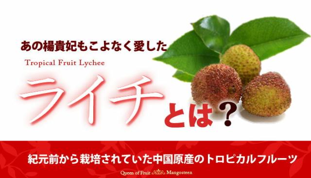 ライチとは？