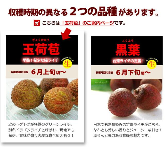 台湾の玉荷苞ライチと黒葉ライチ
