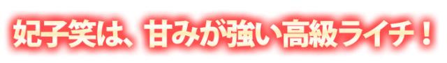 妃子笑は甘い高級ライチ