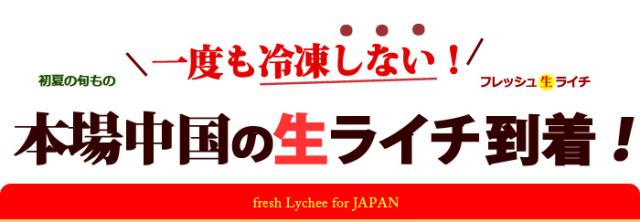 航空便でやって来る中国ライチ