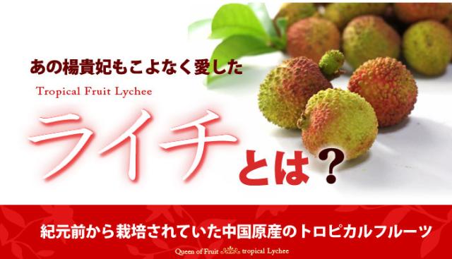 ライチとは？