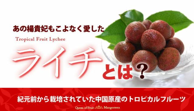 ライチとは？