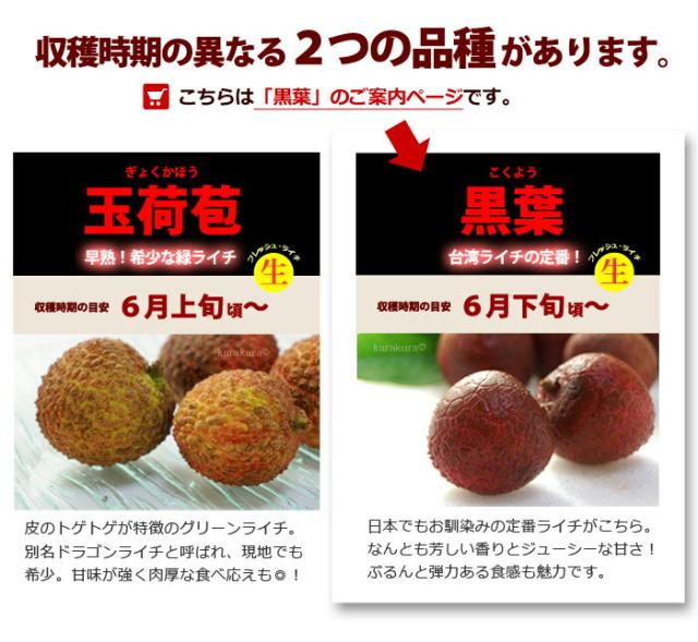 台湾の黒葉ライチと玉荷苞ライチ