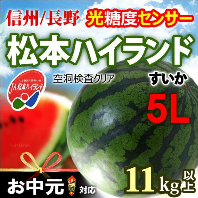 長野JA松本ハイランドすいか5L玉販売/通販