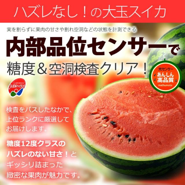 松本ハイランド光糖度センサー選別大玉スイカ