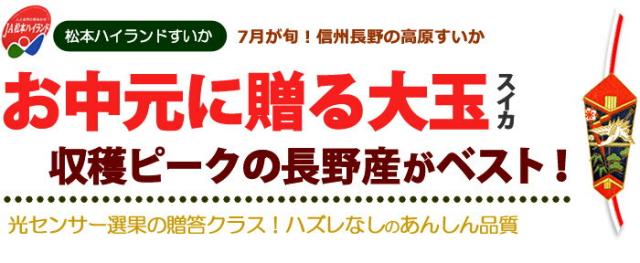お中元に贈る大玉スイカ選びに松本ハイランド