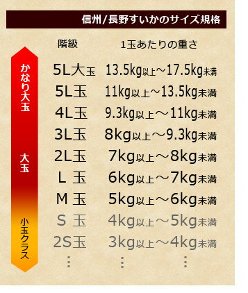 長野県産の大玉西瓜サイズ規格表
