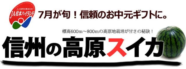 松本ハイランドスイカとは？
